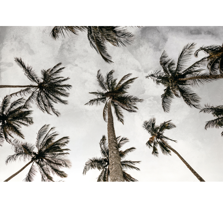Store enrouleur gris photo en contre-plongée de palmiers - TenStickers