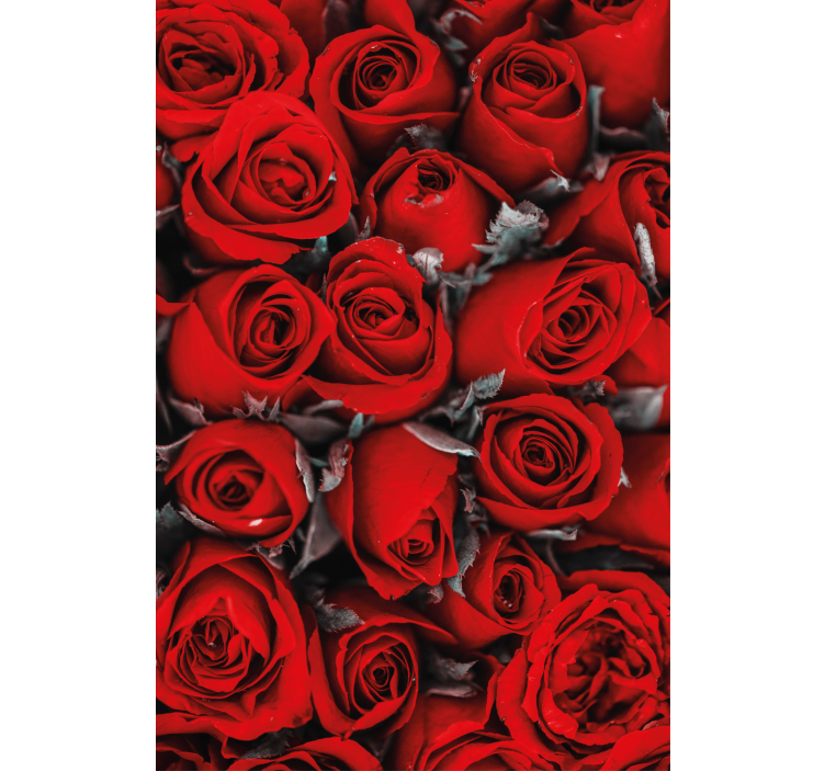 Stores fleurs Roses rouges romantiques - TenStickers