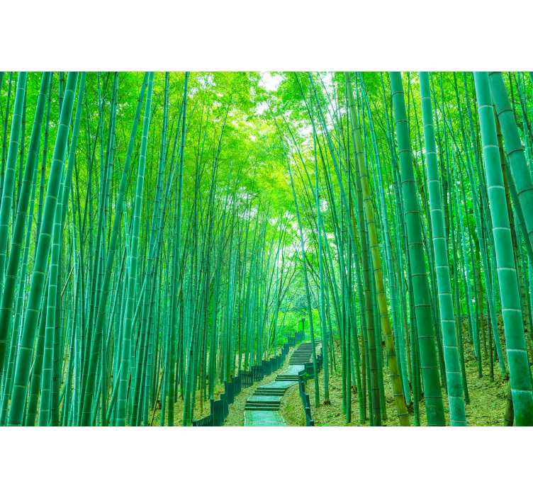 Store enrouleur arbre chemin de bambou luxuriant - TenStickers