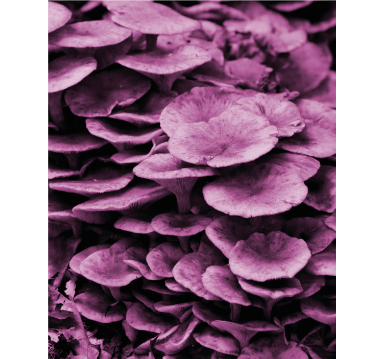 Store enrouleur fleurs et plantes couches florales vibrantes - TenStickers