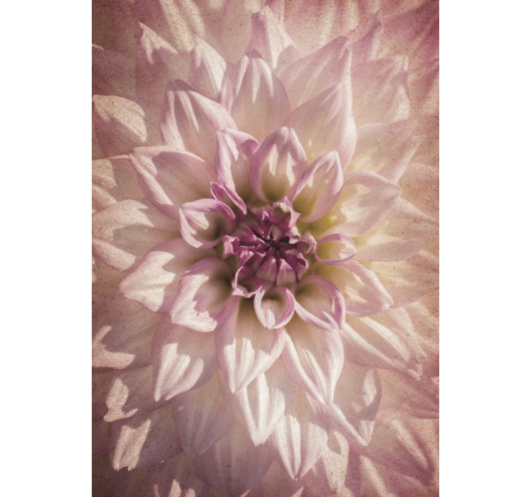 Store enrouleur fleurs et plantes floraison délicate - TenStickers