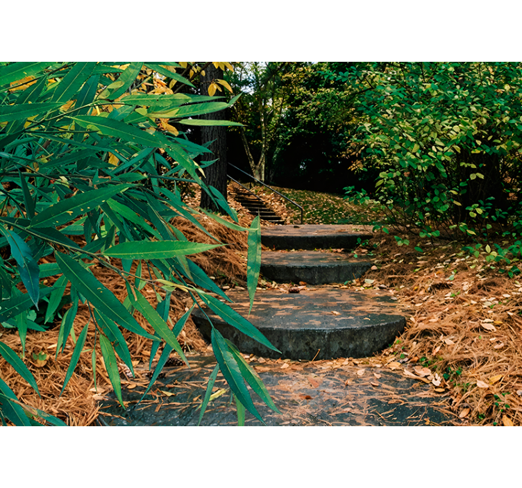 Store enrouleur motif forêt et petite route 3D - TenStickers