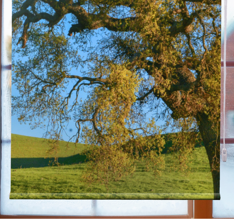 Store enrouleur motif arbre naturel en 3D - TenStickers