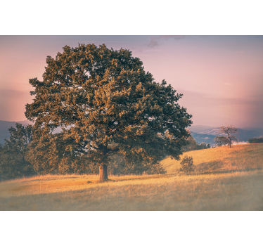 Store enrouleur salon style vieux arbre cottagecore - TenStickers