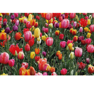 Store enrouleur salon tulipes multicolores champ - TenStickers
