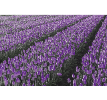 Store enrouleur salon champ de tulipes - TenStickers