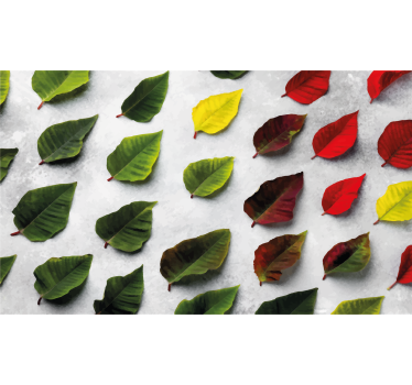 Store enrouleur salon feuilles colorées vues du dessus - TenStickers
