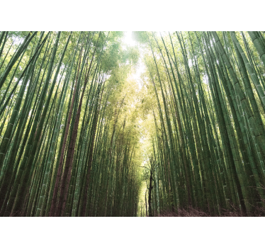 Store enrouleur salon forêt de bambou zen - TenStickers