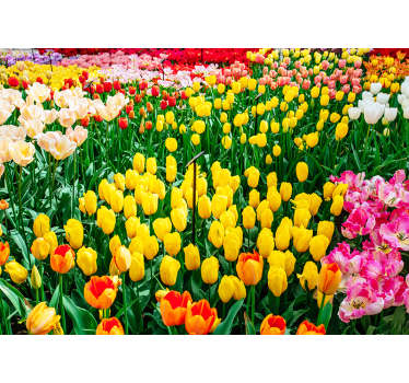 Store enrouleur salon fleurs de tulipes - TenStickers