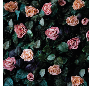 Store enrouleur salon fleurs de rose rouge - TenStickers