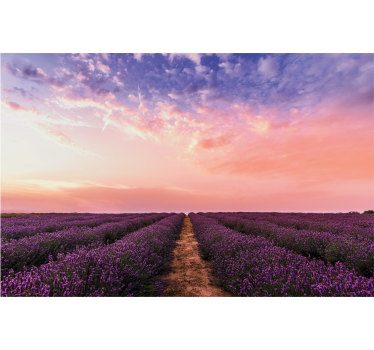 Store enrouleur salon fleurs de lavande en france - TenStickers