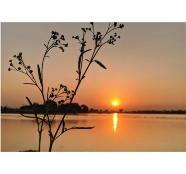 Store enrouleur salon coucher de soleil sur le lac - TenStickers