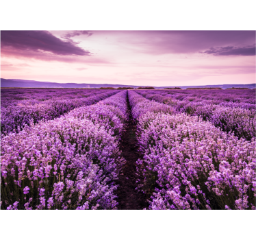 Store enrouleur salon image violette avec fleurs - TenStickers