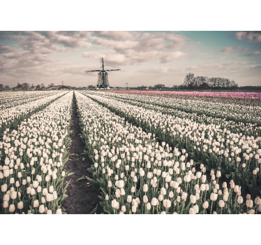 Store enrouleur salon champ de tulipes et moulin - TenStickers