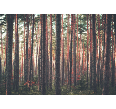 Store enrouleur salon paysage d'arbres en forêt profonde - TenStickers