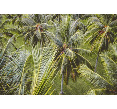 Store enrouleur salon paysage de forêt de palmiers - TenStickers