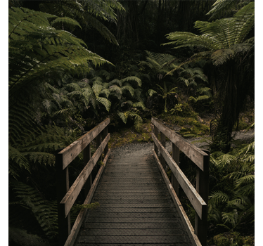 Store enrouleur salon pont "nature" dans la forêt - TenStickers