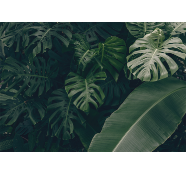 Store enrouleur salon forêt tropicale verte - TenStickers