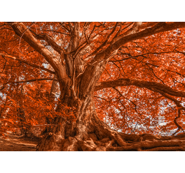 Store enrouleur salon arbre d'automne majestueux - TenStickers