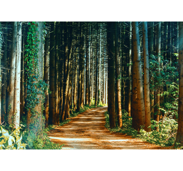 Store enrouleur salon chemin naturel arbre portail - TenStickers