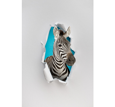 Store plus d'animaux Zèbre - TenStickers