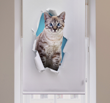 Store plus d'animaux Chat - TenStickers