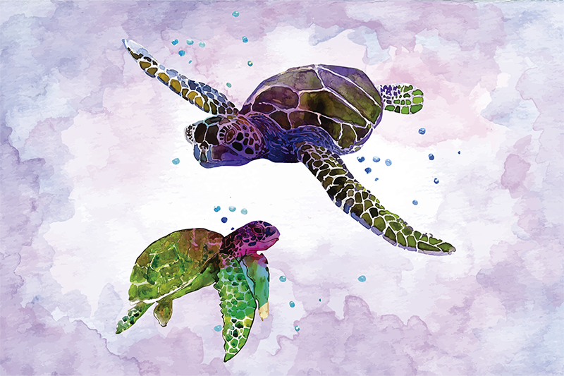 Set de table original illustration de tortue colorée - TenStickers