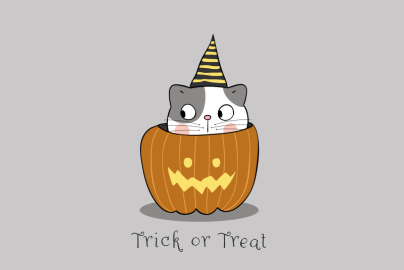 Set de table halloween chat dans une citrouille - TenStickers
