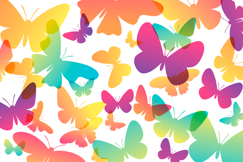 Set de table enfant motif papillon vibrant - TenStickers