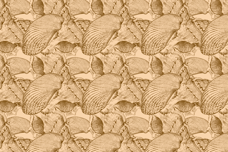 Set de table texture coquillage - TenStickers