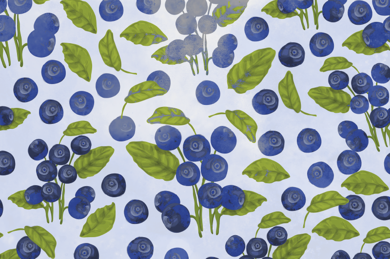 Set de table original motif de feuilles de myrtille - TenStickers