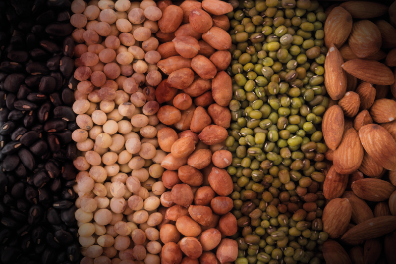 Set de table variété de fruits secs - TenStickers