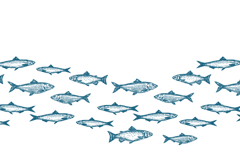 Set de table original motif poissons nageurs - TenStickers