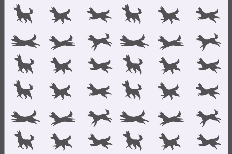 Set de table original motif canin élégant - TenStickers