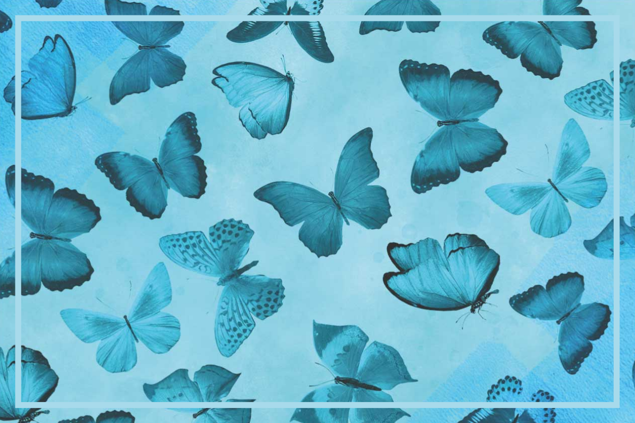 Set de table motif papillon - TenStickers