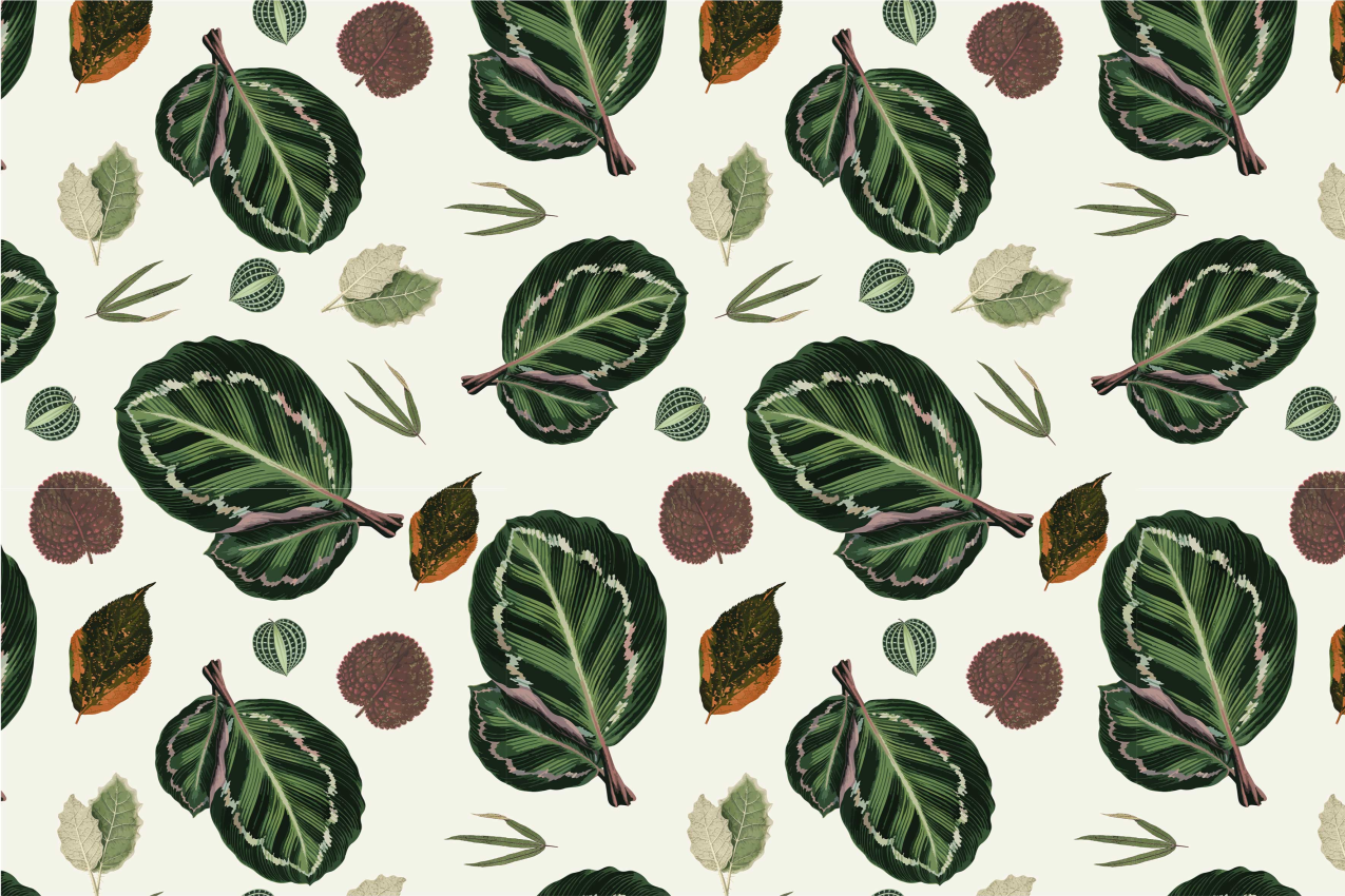 Set de table éléments motif feuille - TenStickers