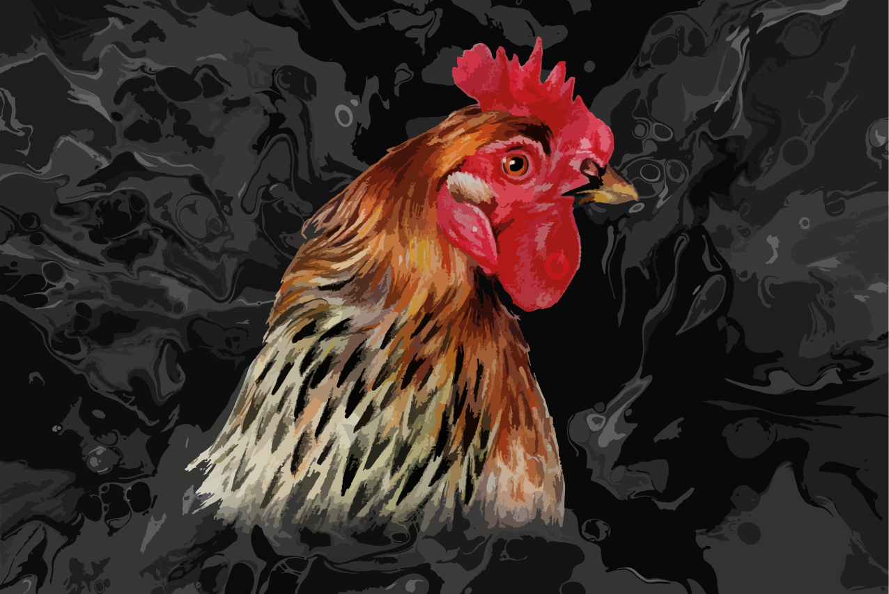 Set de table original portrait de poule coloré - TenStickers