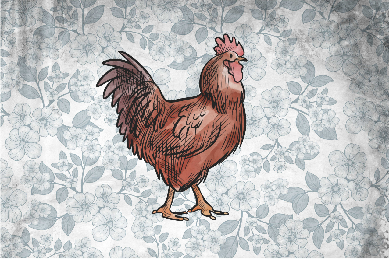 Set de table original illustration de poule rustique - TenStickers