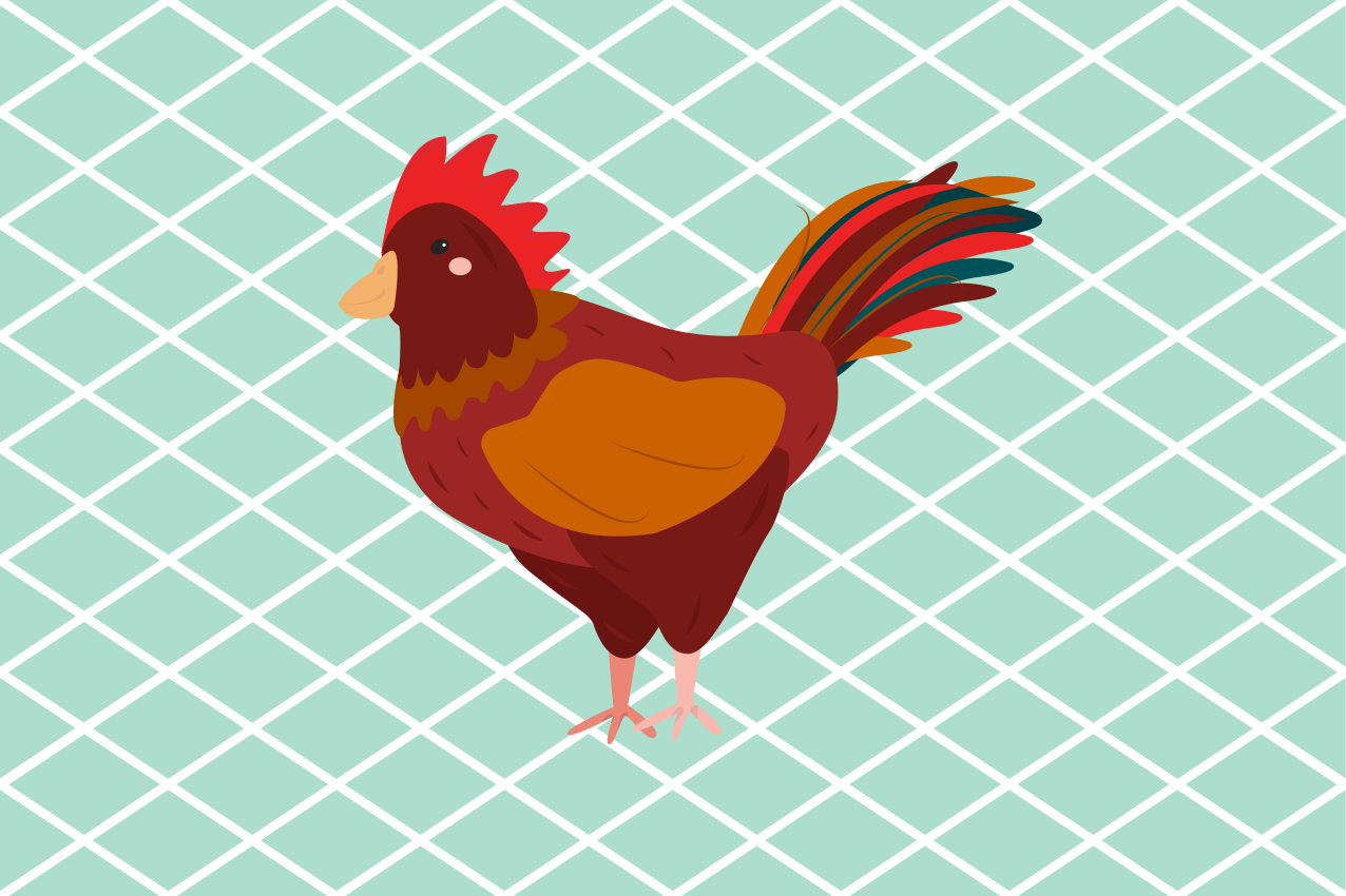 Set de table original illustration de coq charmant - TenStickers