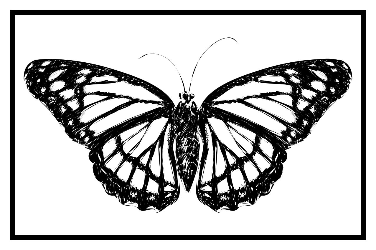 Set de table original illustration de papillon élégant - TenStickers