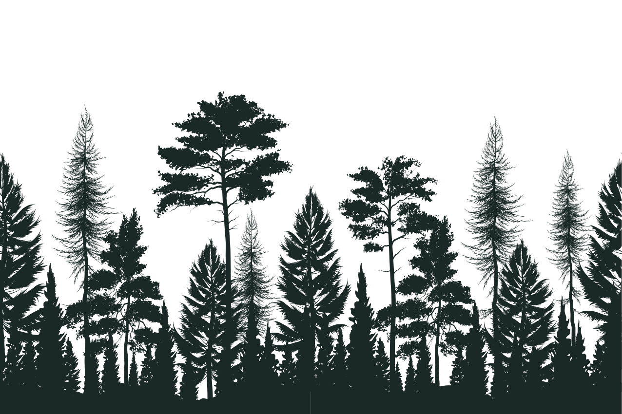 Set de table motif silhouette forêt - TenStickers