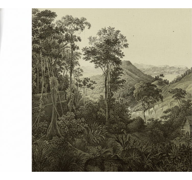 Papier peint forêt impression de forêt vallonnée - TenStickers