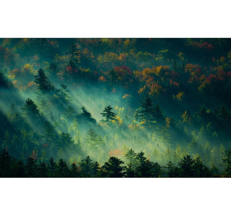 Papier peint forêt la forêt mélancolique - TenStickers