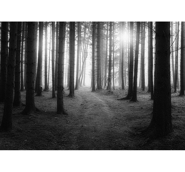 Papier peint forêt paysage gris - TenStickers