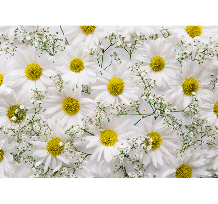Tapisserie fleur bouquet de marguerites blanches - TenStickers