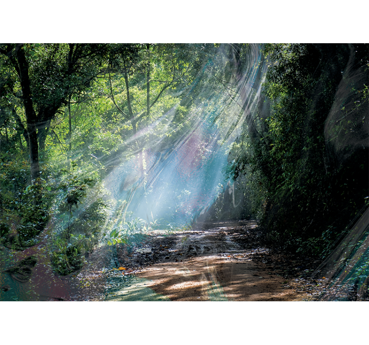 Papier peint nature chemin radieux en forêt - TenStickers