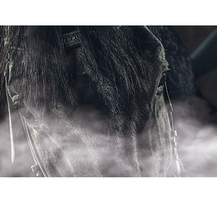 Tapisserie animaux gros plan d'un cheval majestueux - TenStickers