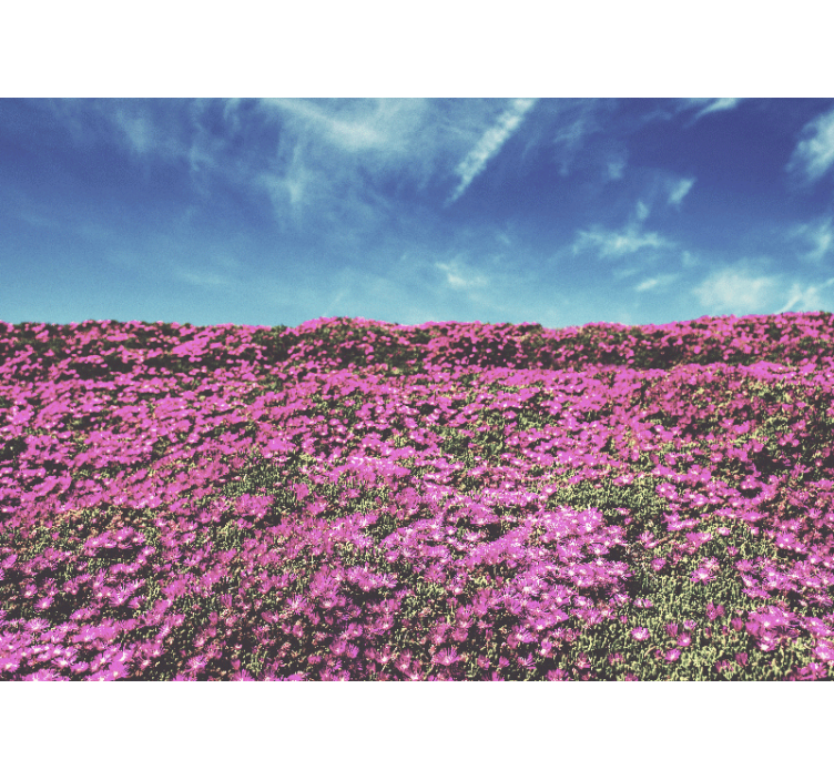 Tapisserie fleur fleurs roses vibrantes - TenStickers