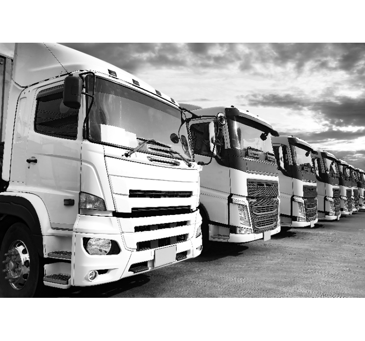 Tapisserie véhicule gamme de camions - TenStickers