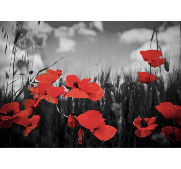 Tapisserie coquelicots fleurs florales rayonnantes - TenStickers